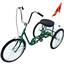 IBIKE-3-DC-G