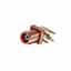 RF55-32M-T-00-50-A-SH