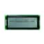 C204DLBFKSW6WT55XAA