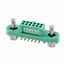 G125-FS11205F1P
