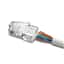 CAT5-HPP